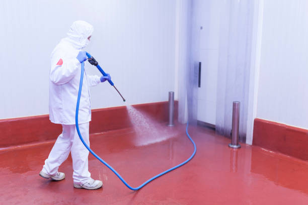 Best Patio and Deck Pressure Washing  in , NJ